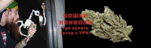 шишки Алзамай