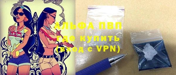 шишки Алзамай