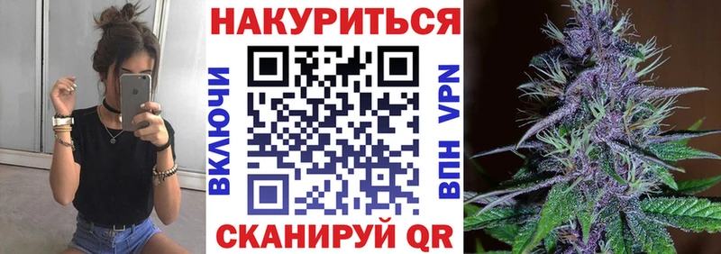 MEGA ONION  Кувшиново  Бошки марихуана MAZAR 